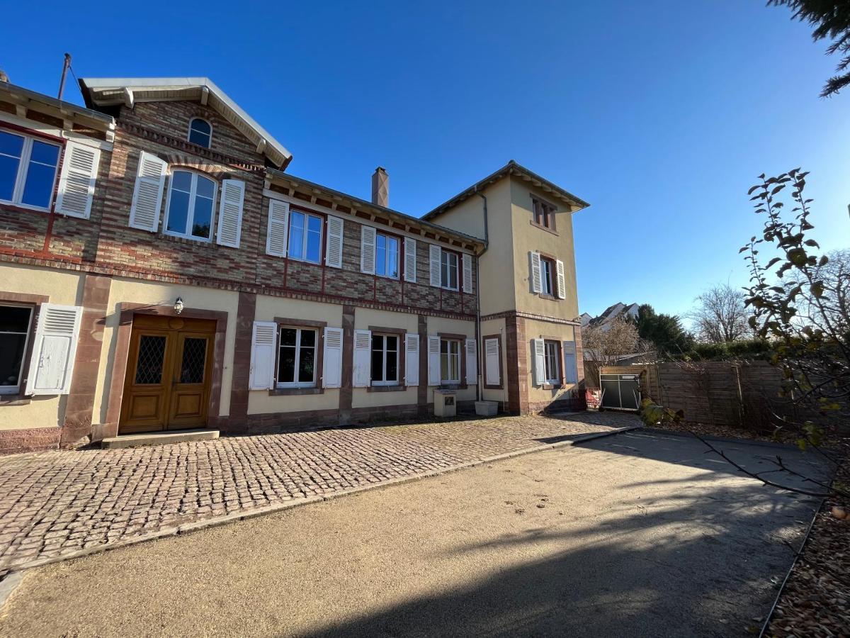 Gite Villa Avril Piscine- Jacuzzi- Sauna - 15 Pers-Proche Europapark Selestat Exterior photo